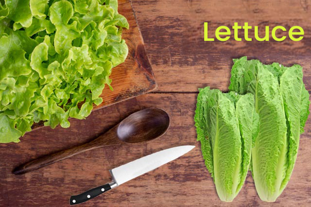 Lettuce Sugar-free Vegetable