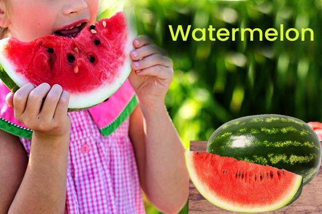 Watermelon Sugar-free Fruit